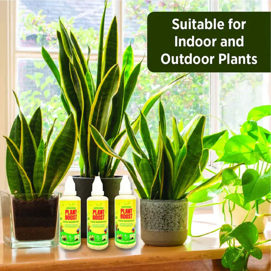 Plant Boost Liquid (Buy 1 Get 1 Free)