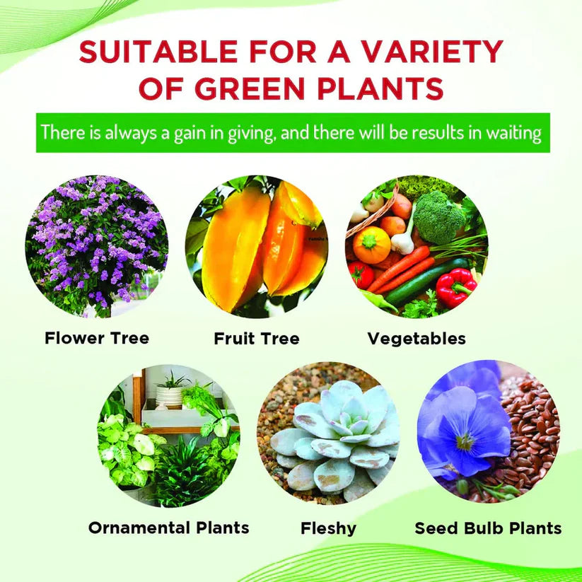 Plant Boost Liquid (Buy 1 Get 1 Free)